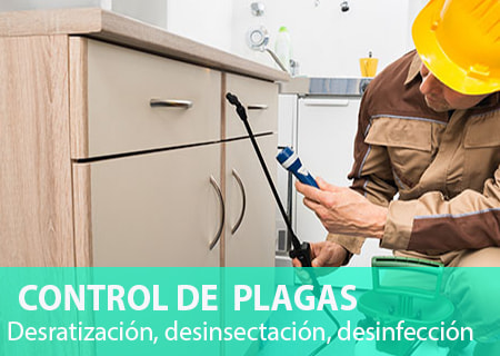 Control de plagas: Desinsectación, desratización, desinfección